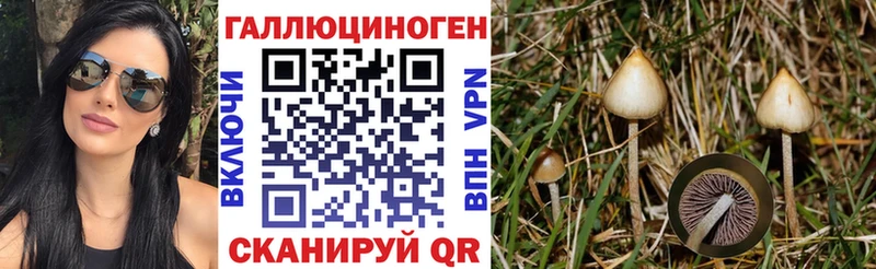 Псилоцибиновые грибы Psilocybine cubensis  Муром 